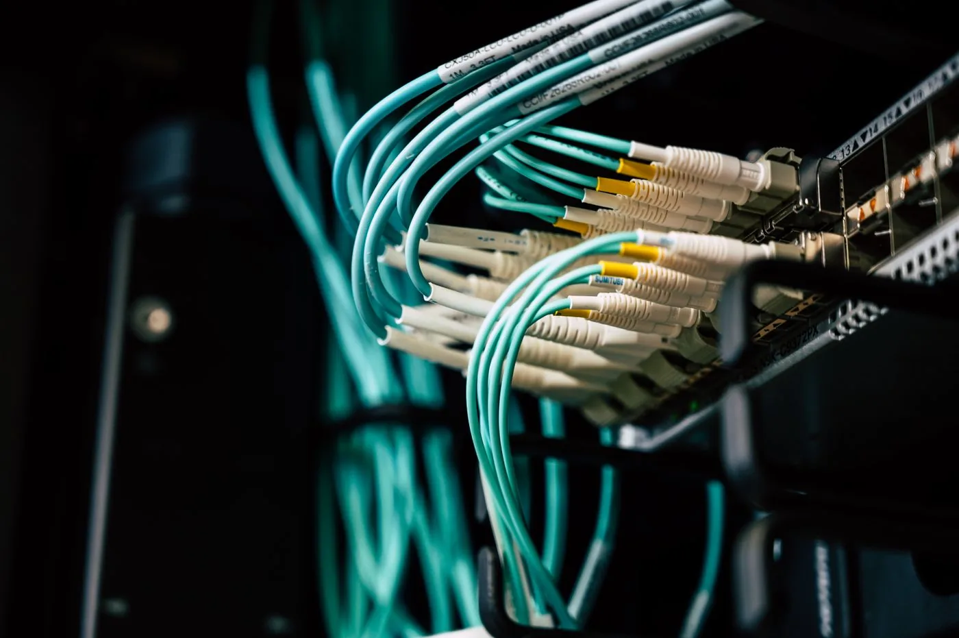 Network cables connected to switch ports